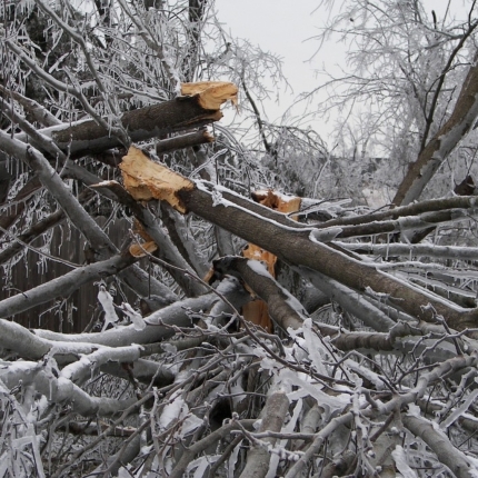 winter-storm-damage
